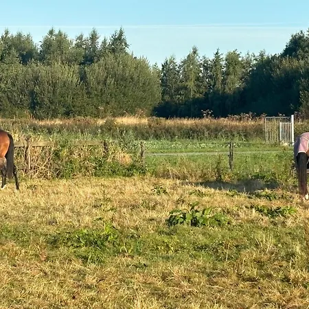 De Weelen Met Jacuzzi Huwelijks Topkeuze! Bed & Breakfast 4*