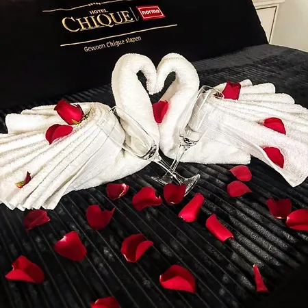 De Weelen Met Jacuzzi En Of Zwembad Topkeuze Romantiek