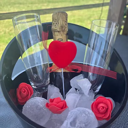 De Weelen Met Jacuzzi En Of Zwembad Topkeuze Romantiek 4*