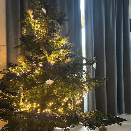 De Weelen Met Jacuzzi En Of Zwembad Topkeuze Romantiek 4* Lutjebroek