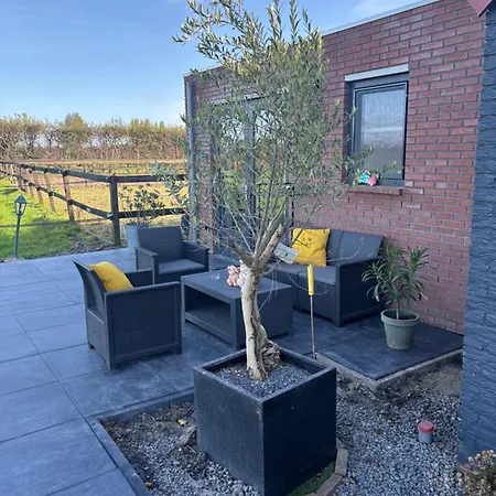 De Weelen Met Jacuzzi En Of Zwembad Topkeuze Romantiek 4* Lutjebroek