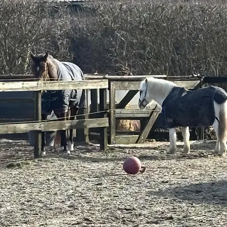 Panzió De Weelen Met Jacuzzi En Of Zwembad Topkeuze Romantiek 4*