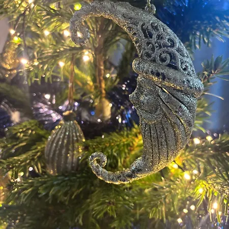 Panzió De Weelen Met Jacuzzi En Of Zwembad Topkeuze Romantiek 4*